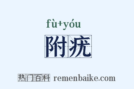 附疣是什么意思的图片